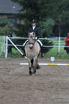 Bild 427 - WBO-Turnier am 18.9.11